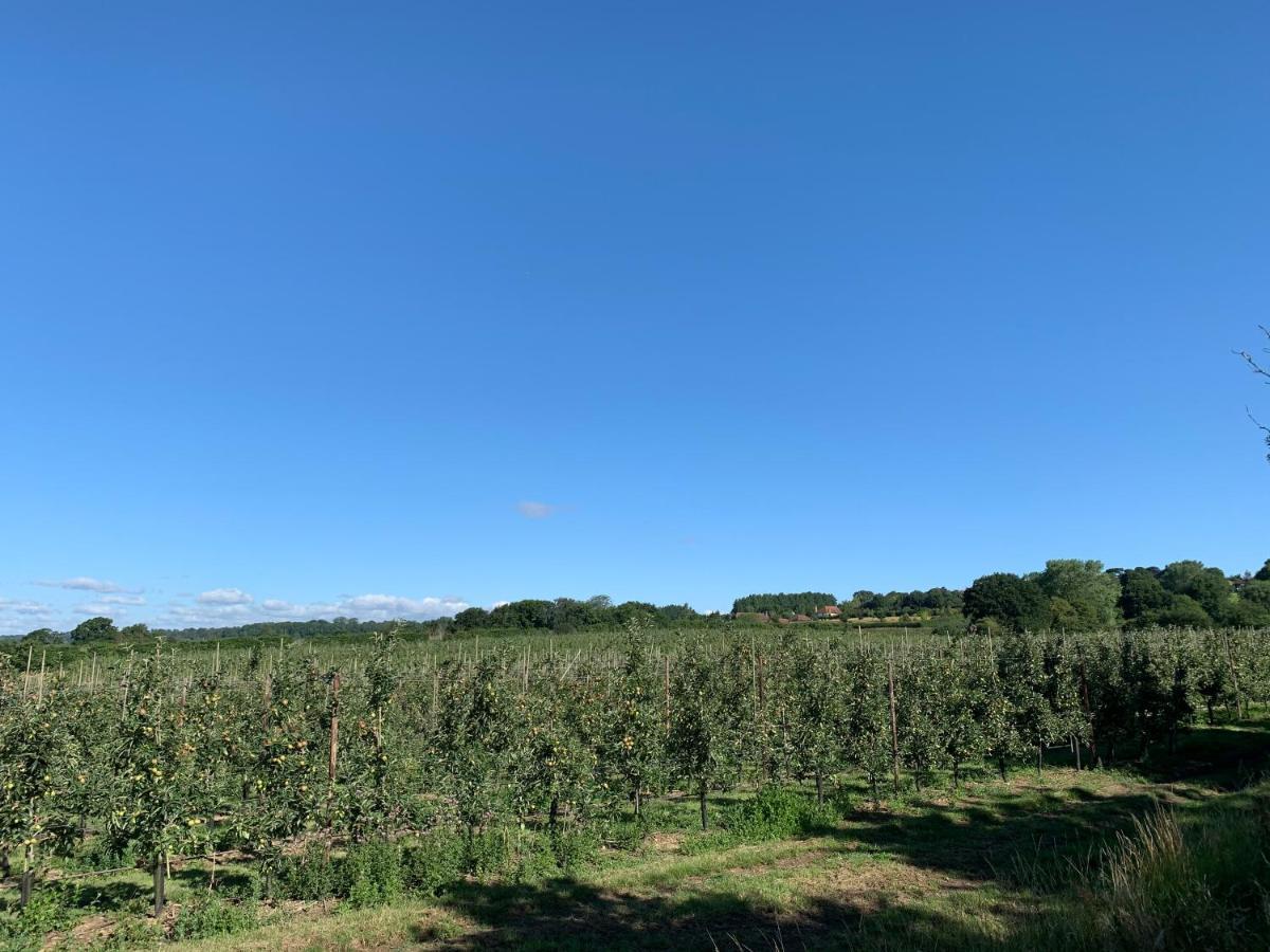 Blackberry Cottage Sutton Valence Екстериор снимка